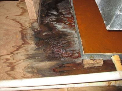 About Revive Water Damage - water damage restoration experts in Pittsburgh